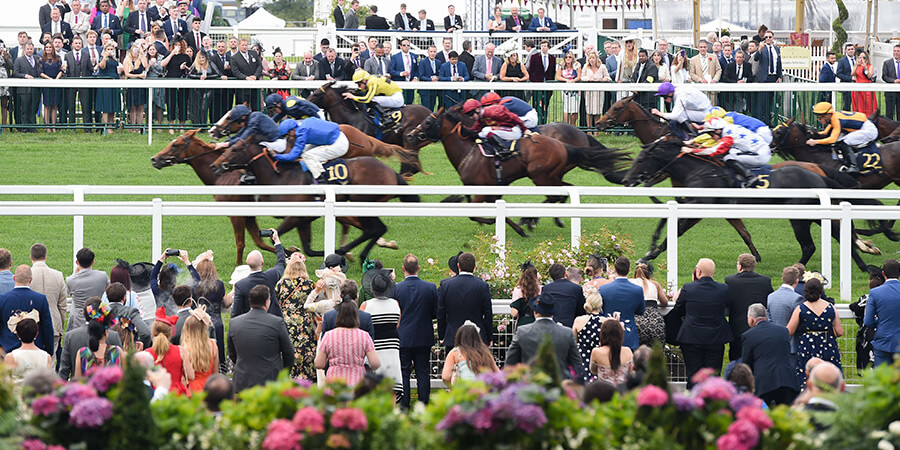 Royal Ascost Gallery 15