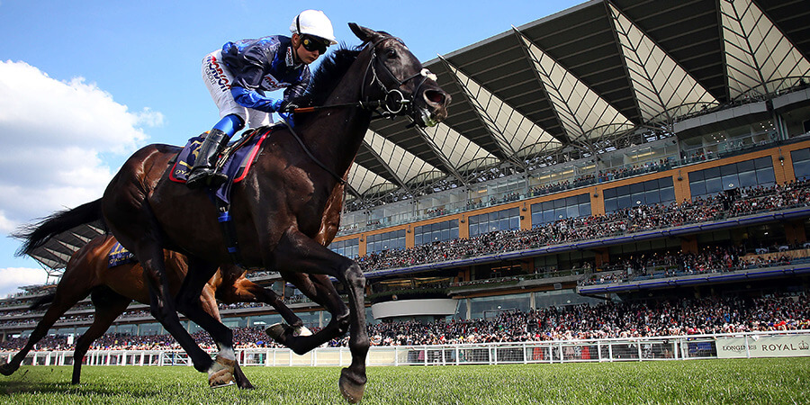 Royal Ascost Gallery 3